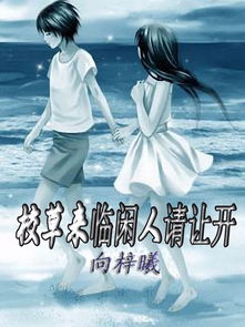 叶凡